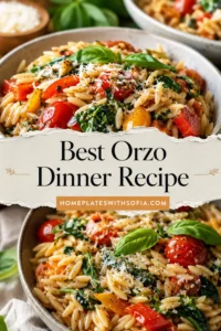 Best Orzo Dinner Recipe